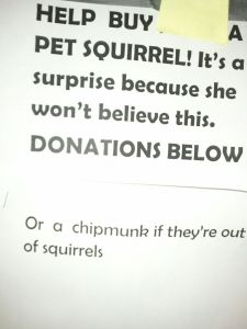 squirrel fundraiser