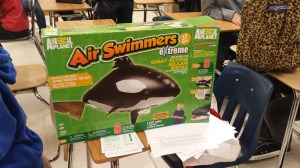 birthday killer whale box jpg