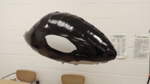 killer whale