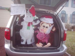 pig and cow in jananskys car