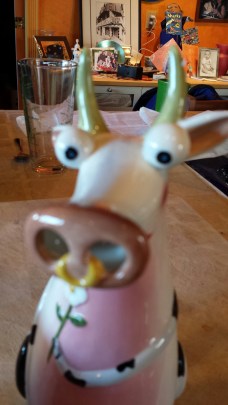 cow snout close upjpg