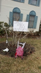 winged attack pig jpg.